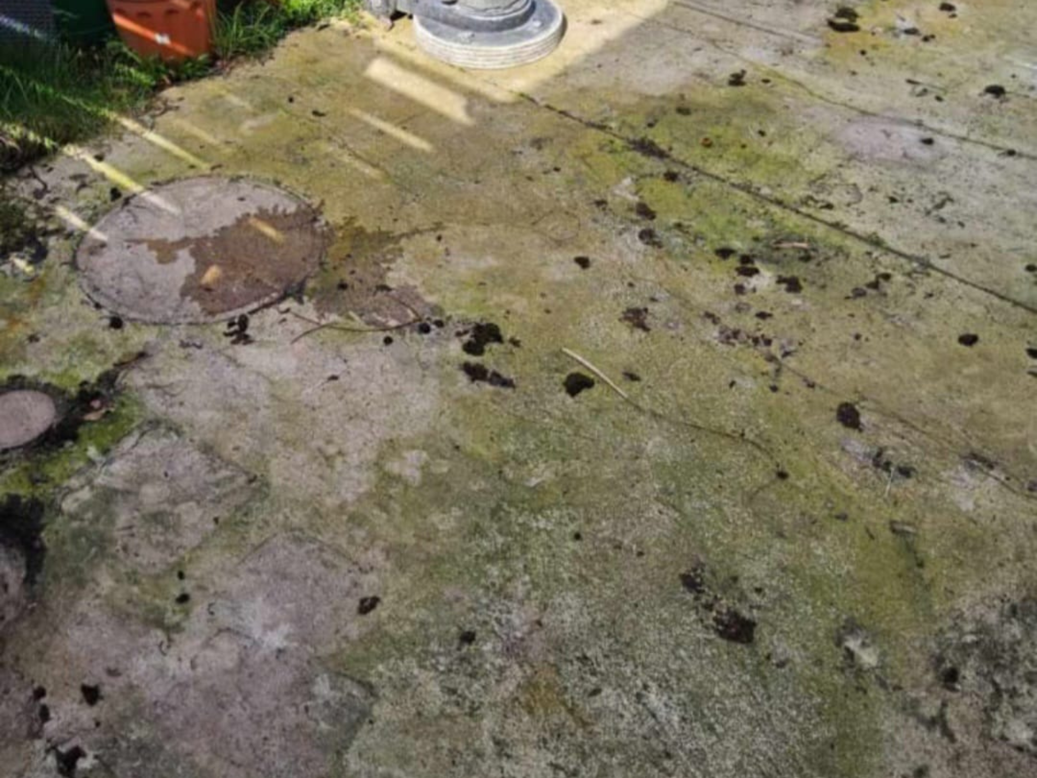 Gebäudereinigung für Unternehmen