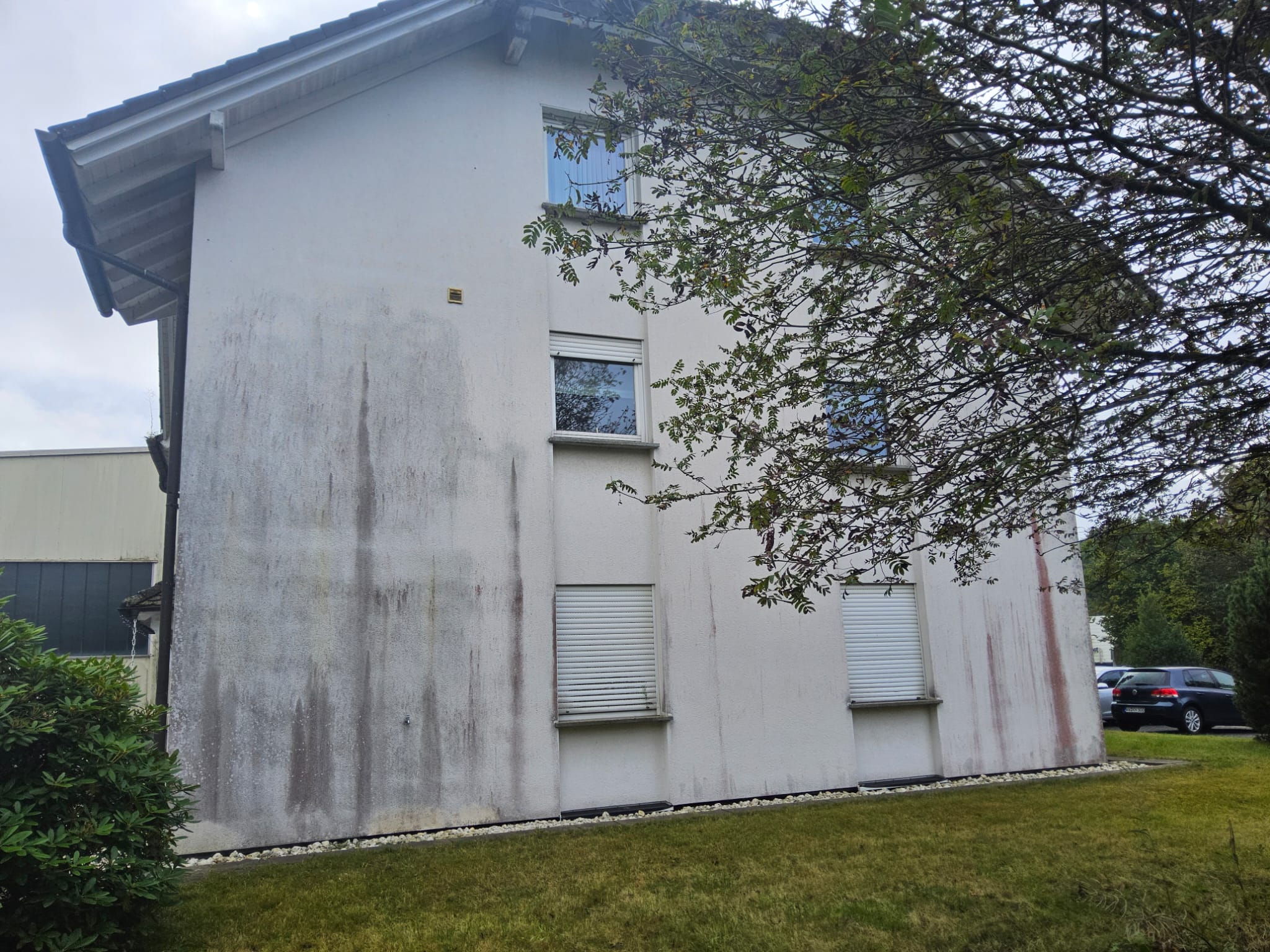 Gebäudereinigung für Unternehmen